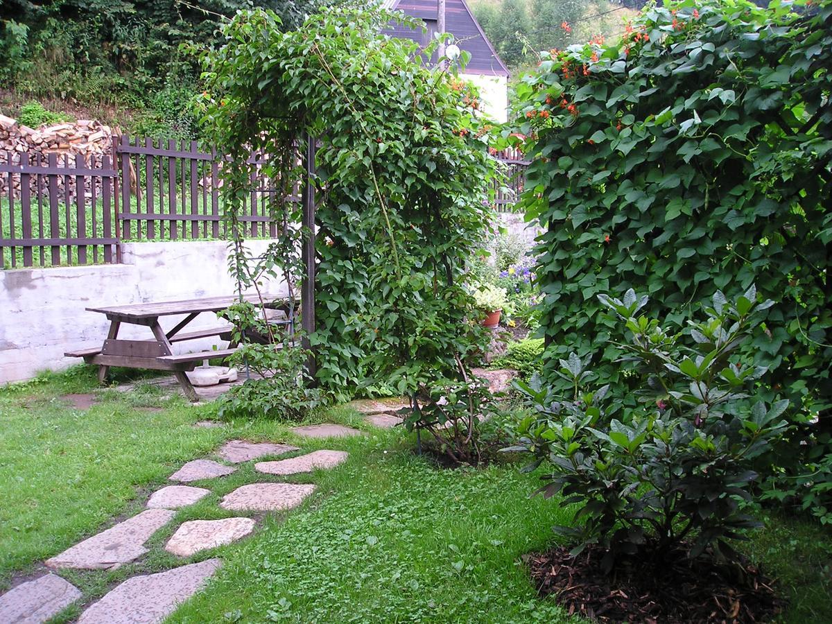 Apartman Svoboda Svoboda nad Upou Exterior photo